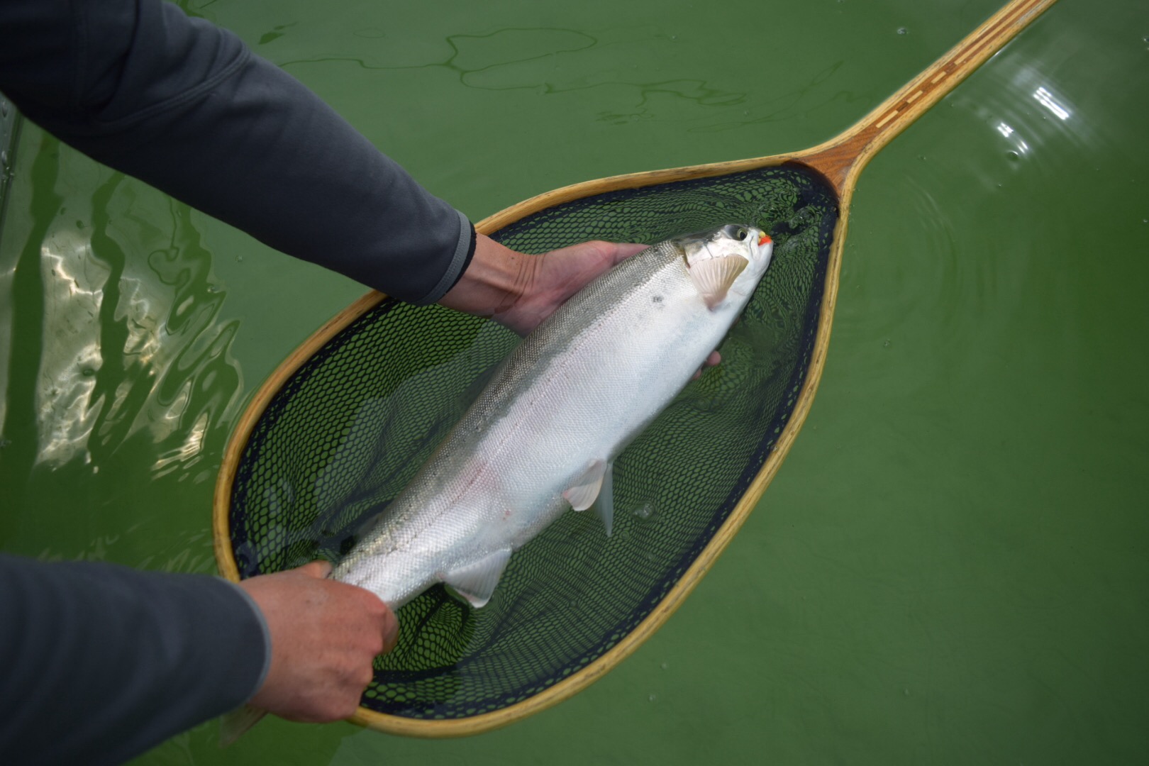 Stillwater Fly Fishing Around Golden Tourism Golden