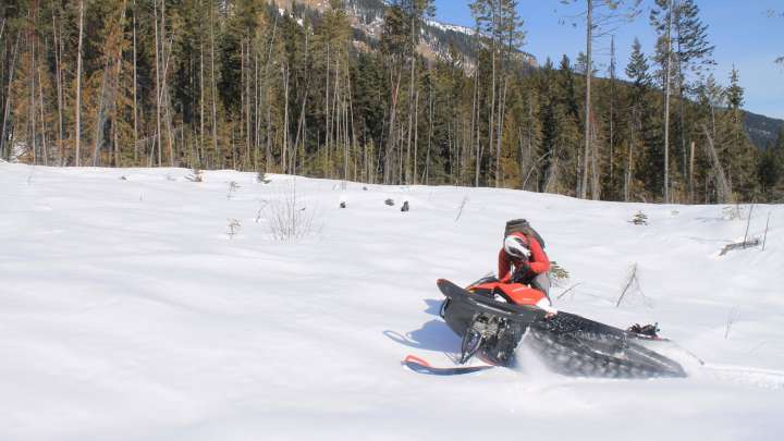 Spring snowmobiling in Golden BC