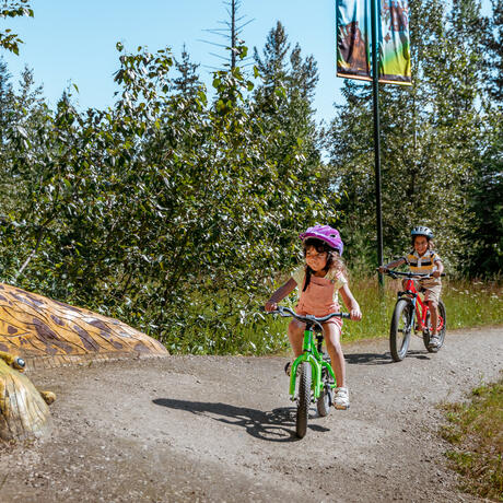 Mount Revelstoke National Park, Credit Ian Houghton