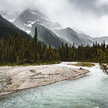 Scenic, Blaeberry River