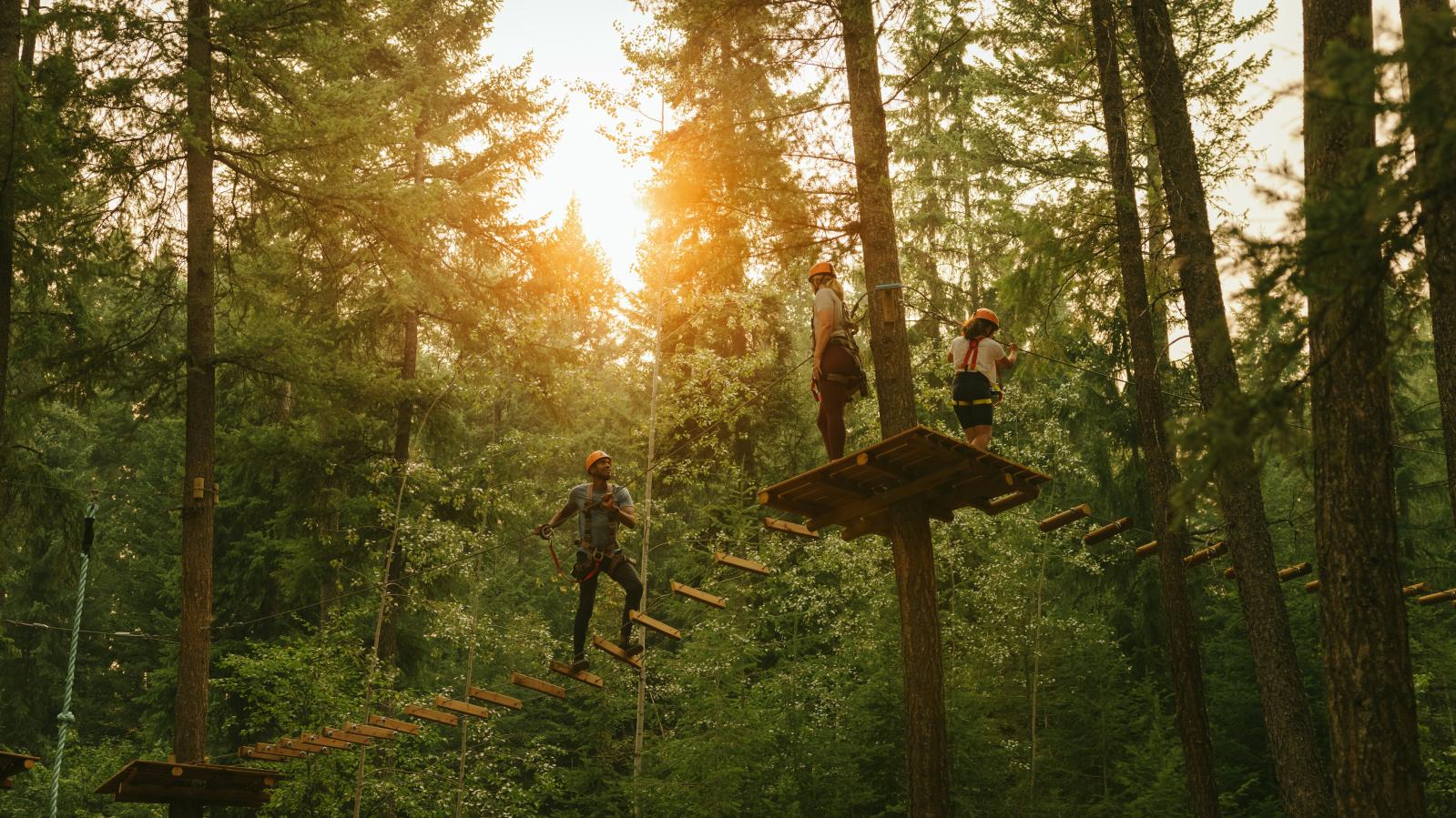 Golden Skybridge Treetop Adventure