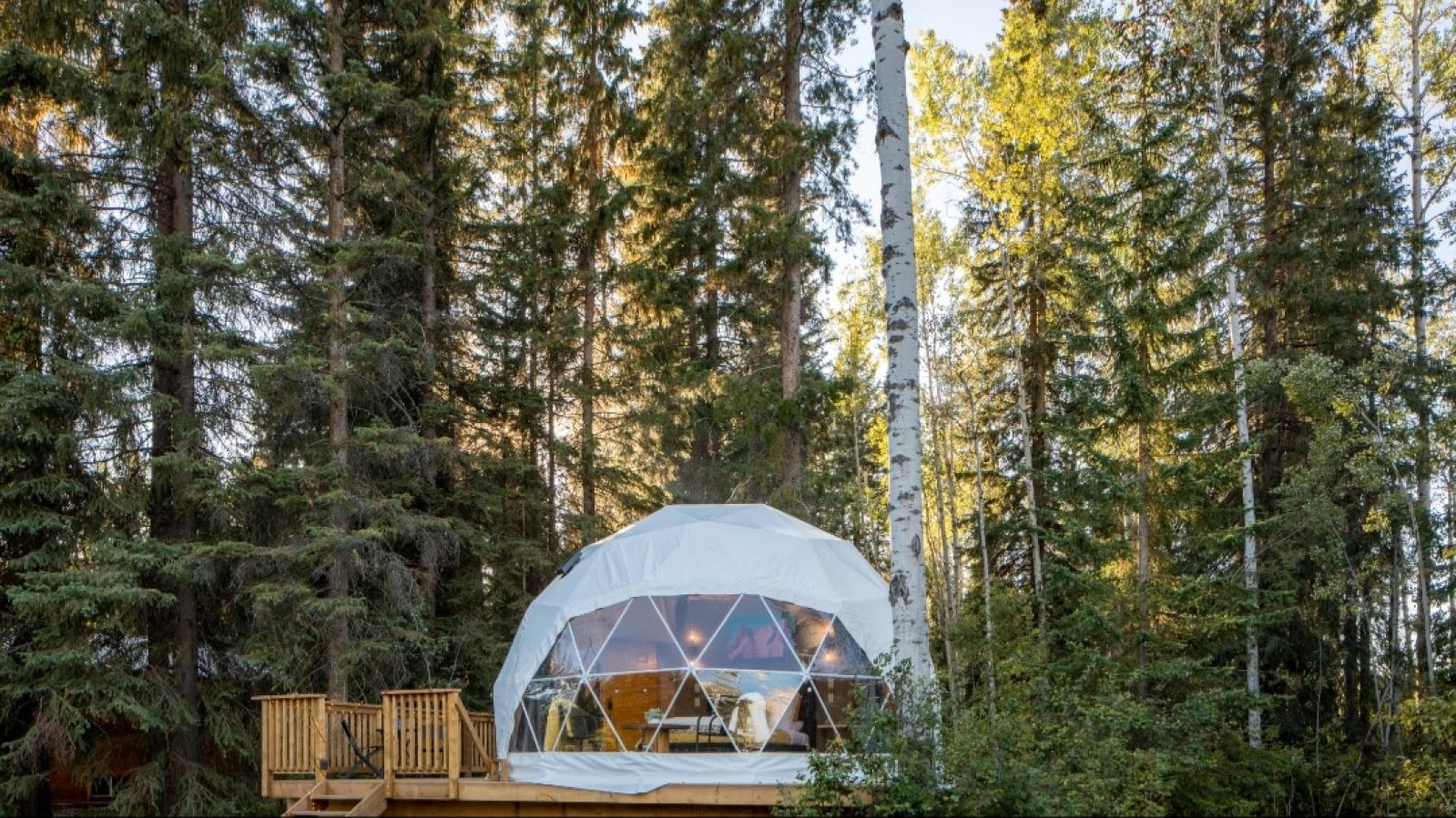 Blaeberry Base Dome Camping 