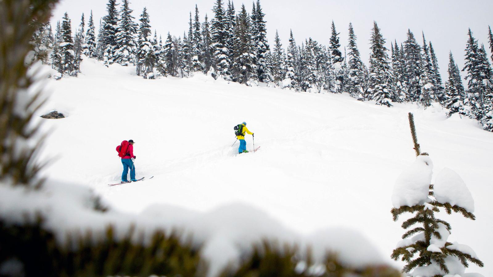 Backcountry Ski Touring