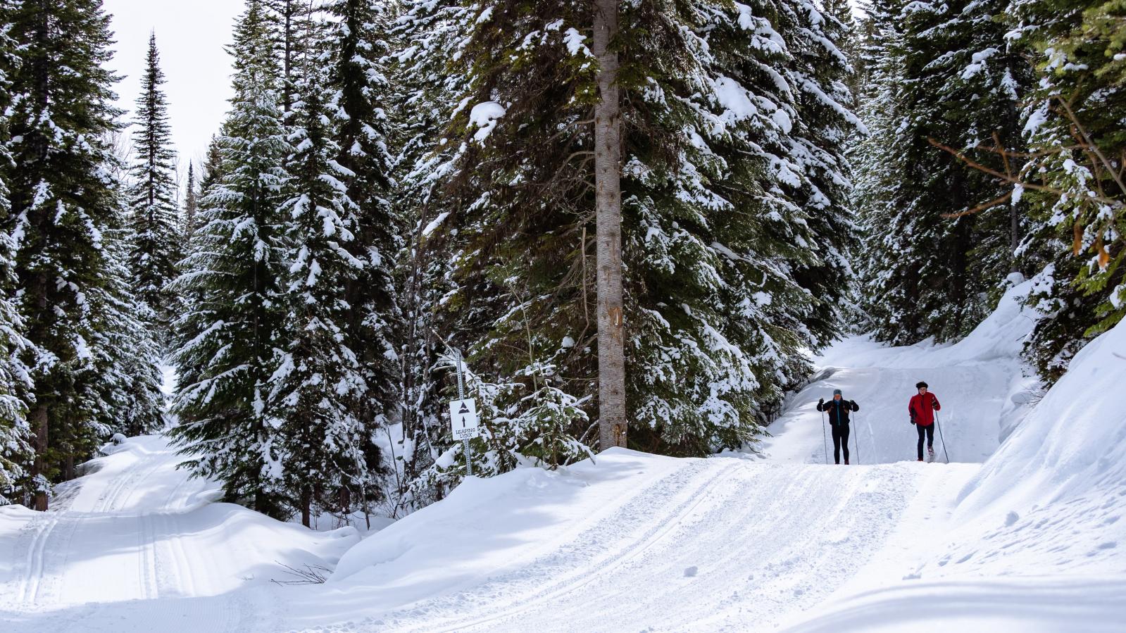 Dawn Mountain Nordic Centre