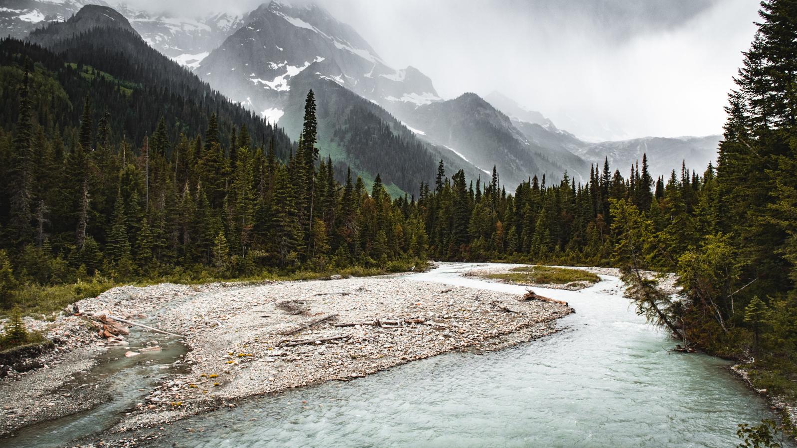 Scenic, Blaeberry River