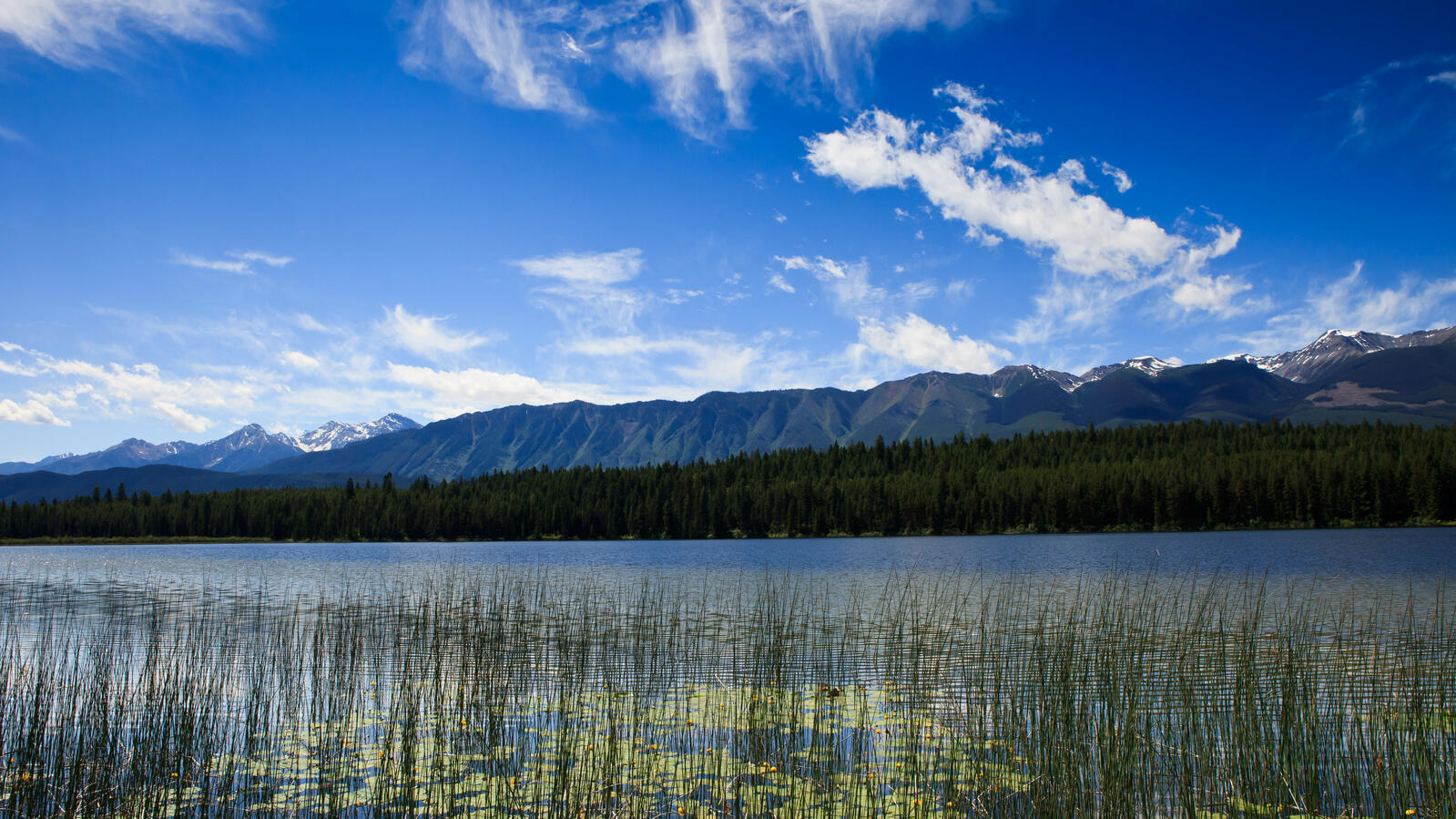 Mitten Lake